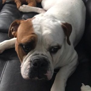 Meet your Posher, Anthony